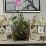 2024 Diwali – Mithai Box Campaign to empower Rural Women